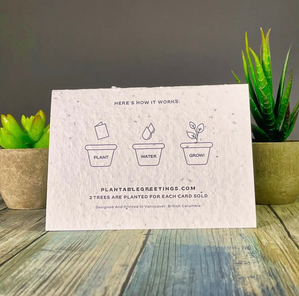 Greeting Cards - plantable